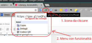 Google Chrome menu estensione